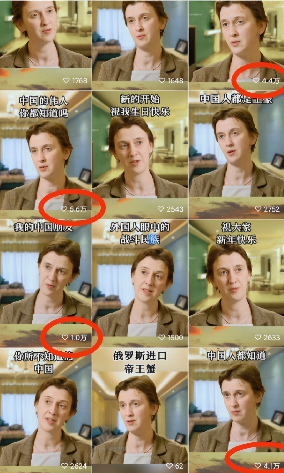 蝴蝶分解图__蝴蝶分割图