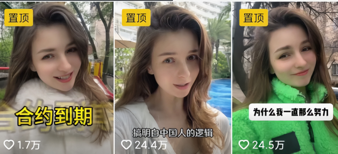 蝴蝶分割图__蝴蝶分解图